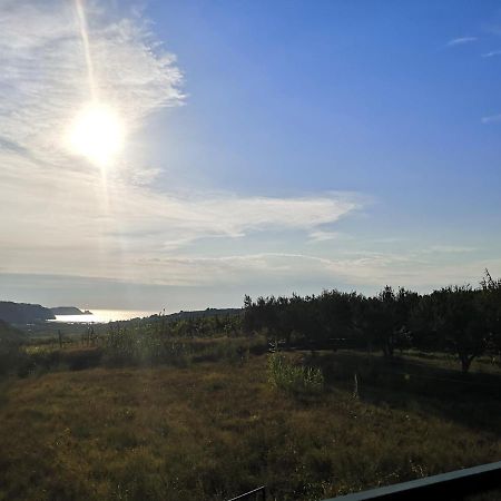 Saleto Apartma Jagodje Exteriör bild