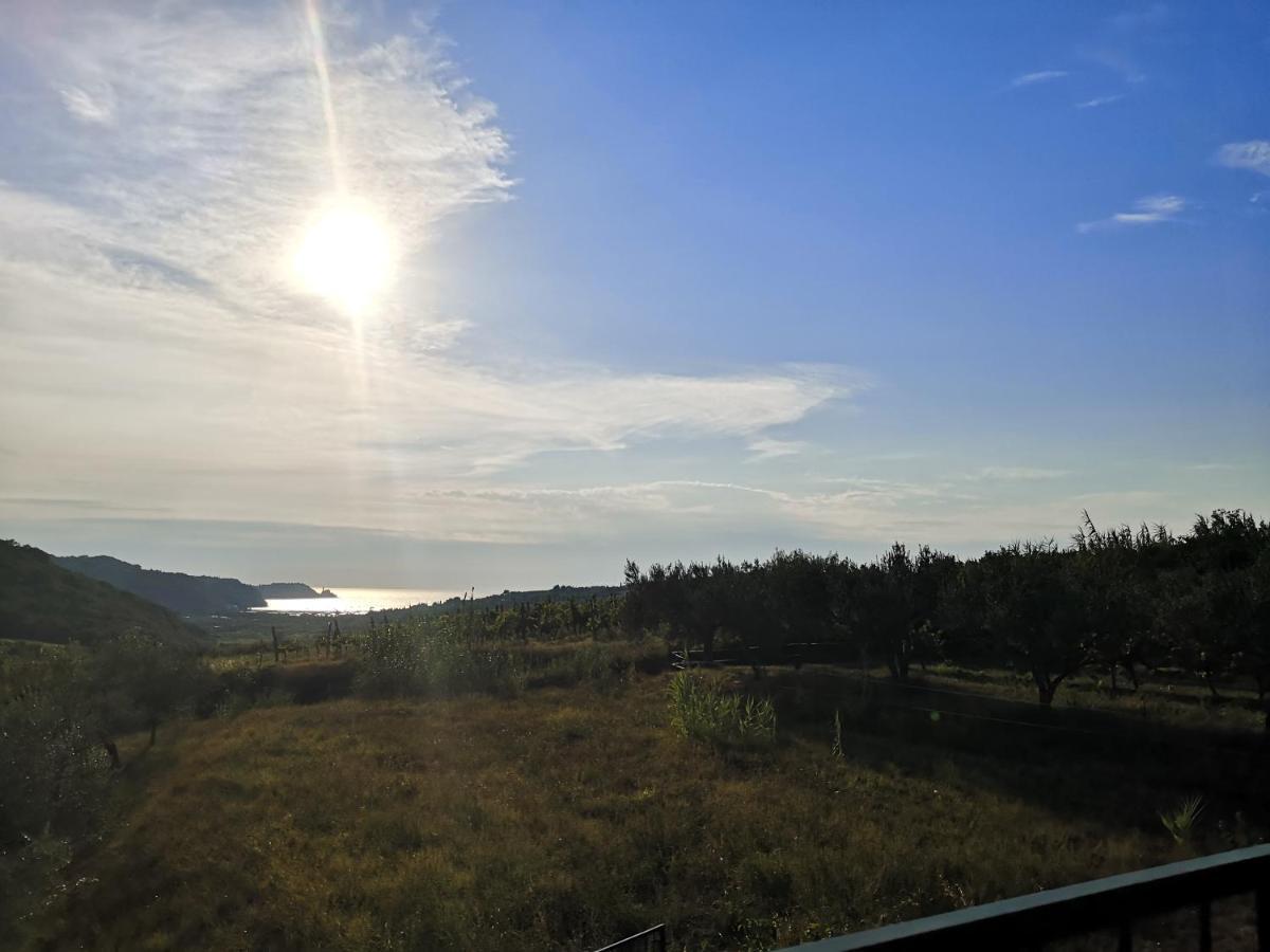 Saleto Apartma Jagodje Exteriör bild